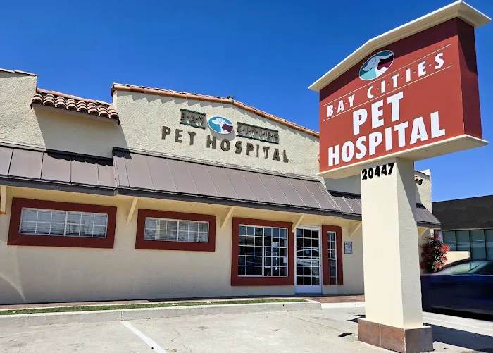 Bay Cities Pet Hospital Picture 5