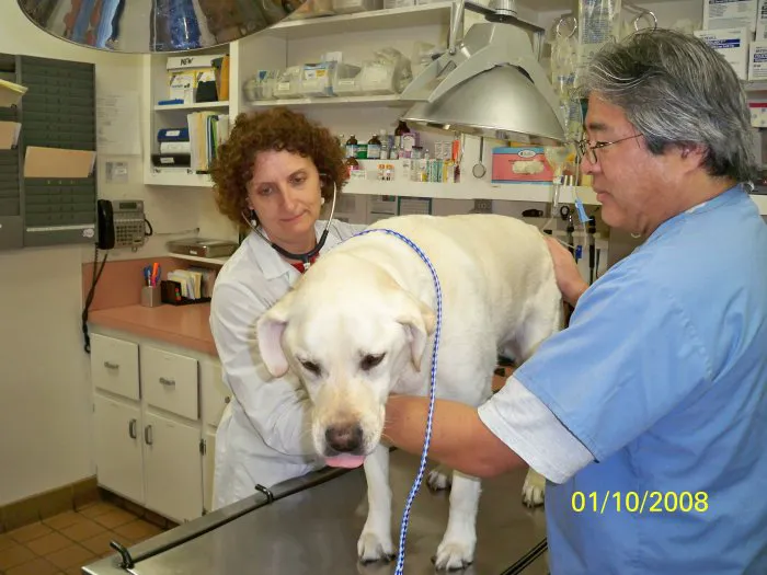 VCA Clarmar Animal Hospital Picture 10