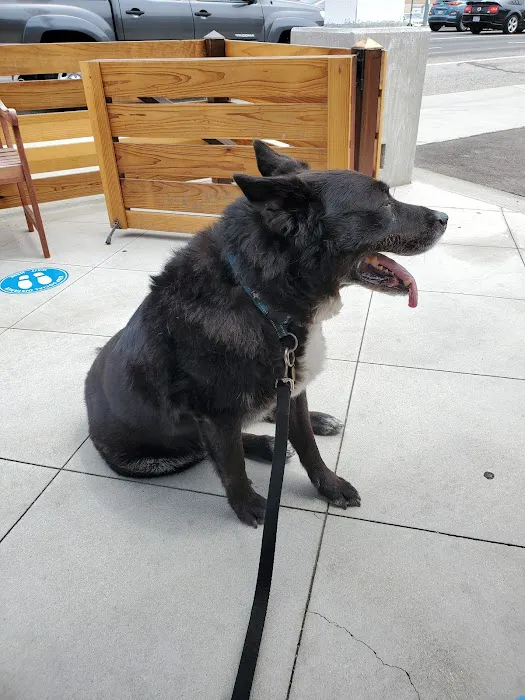 Redwood Animal Hospital Picture 10