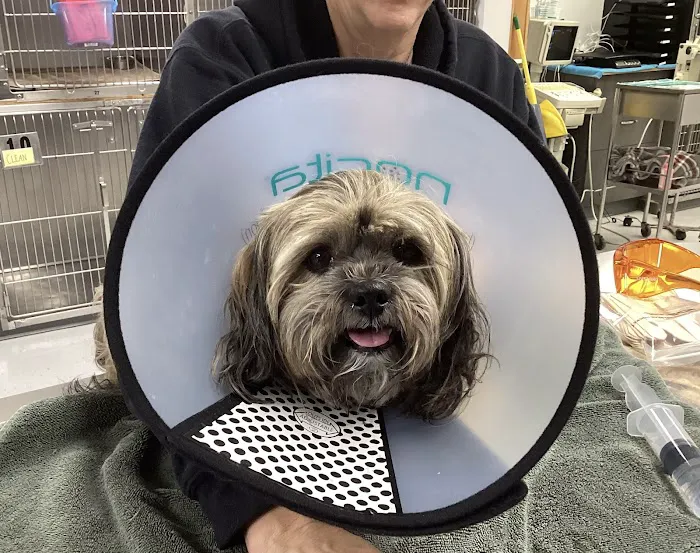 Redwood Animal Hospital Picture 9