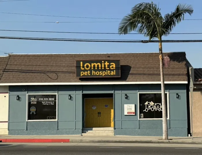 Lomita Pet Hospital Picture 10