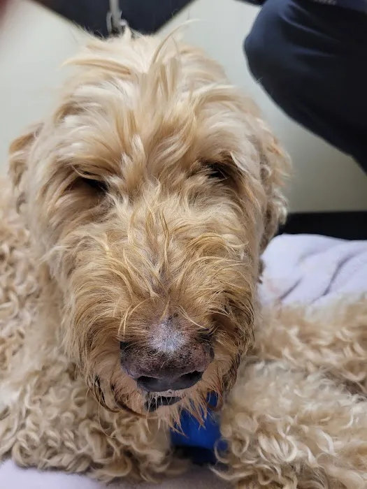 Vetco Total Care Animal Hospital Picture 4