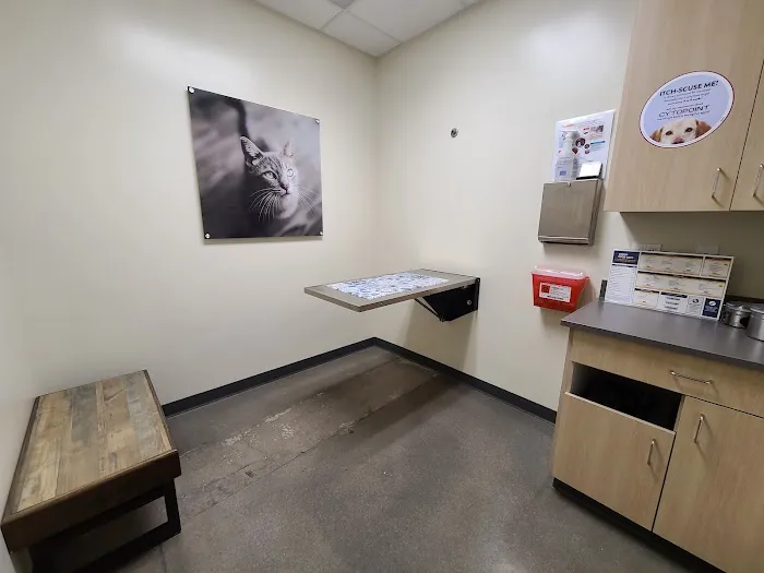 Vetco Total Care Animal Hospital Picture 3