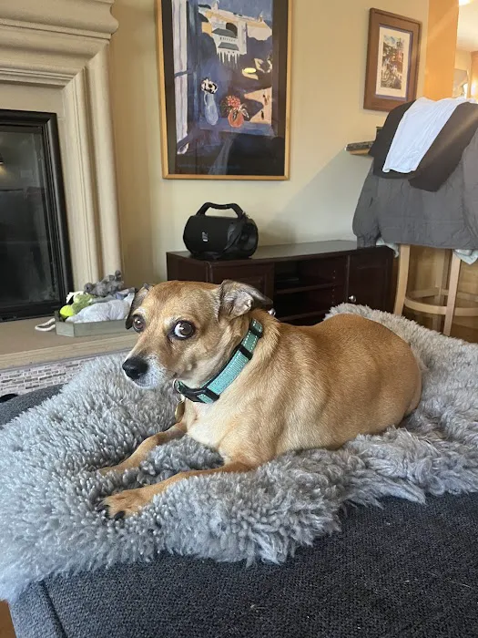 Plaza Del Amo Animal Hospital & Pet Keeper Picture 4