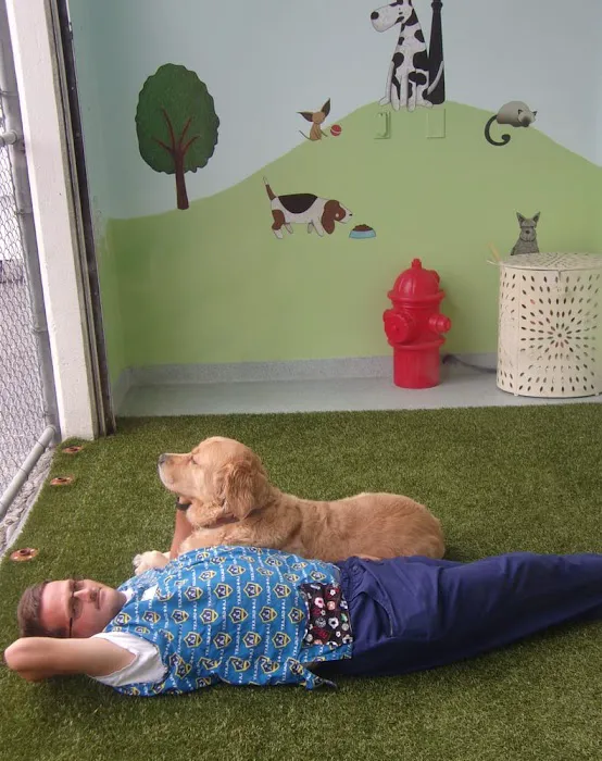 Plaza Del Amo Animal Hospital & Pet Keeper Picture 6