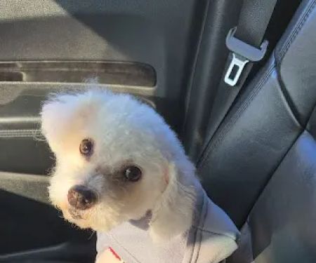 Banfield Pet Hospital
