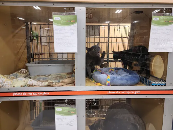 Banfield Pet Hospital Picture 9