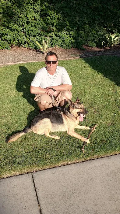Faithful Friends Picture 1