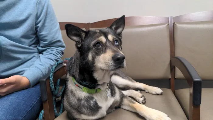 VCA Pacific Veterinary Center Picture 1