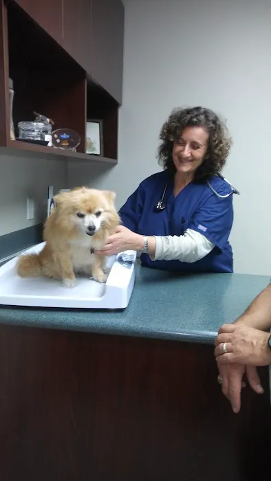 VCA Pacific Veterinary Center Picture 4