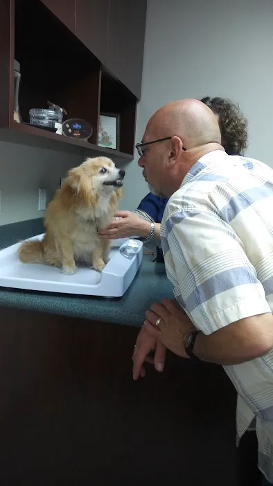 VCA Pacific Veterinary Center Picture 3