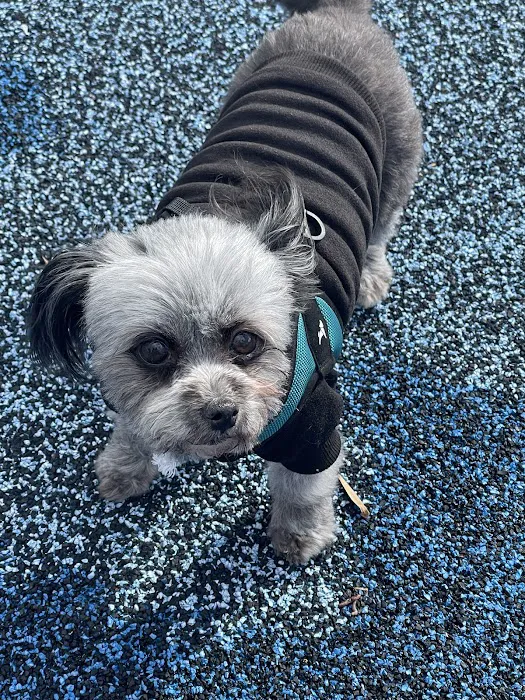 Anaheim Animal Care & Pet Hospital Picture 3