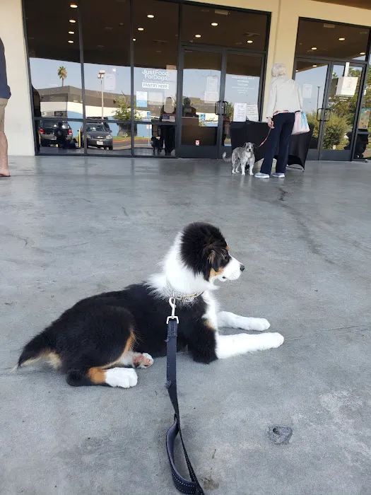Anaheim Animal Care & Pet Hospital Picture 4