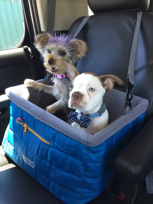 Anaheim Animal Care & Pet Hospital Picture 10