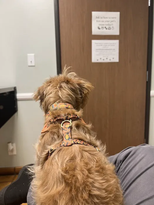 Fullerton Regional Veterinary Hospital Picture 6