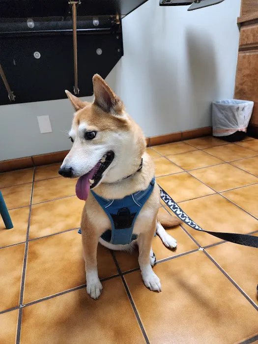 Fullerton Regional Veterinary Hospital Picture 4
