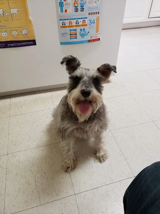 Petra Pet Clinic Picture 10