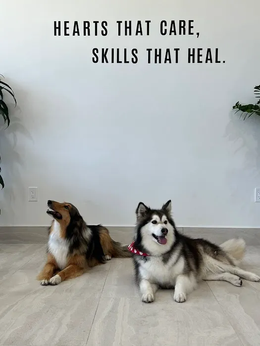 Oasis Pet Clinic Picture 5