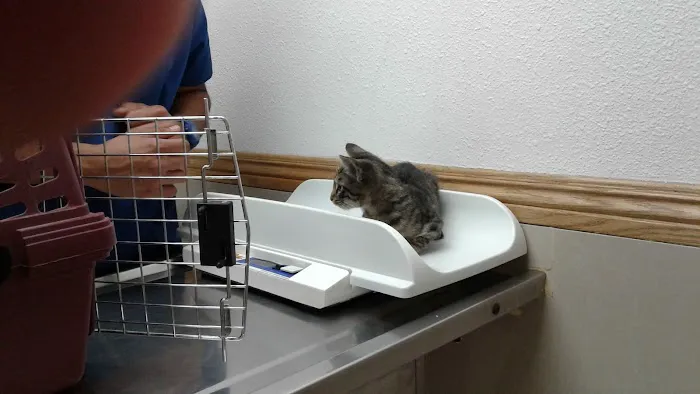 The Animal Doctors of Anaheim (Formerly La Palma Veterinary Hospital) Picture 4