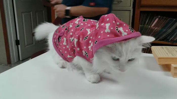 The Animal Doctors of Anaheim (Formerly La Palma Veterinary Hospital) Picture 5