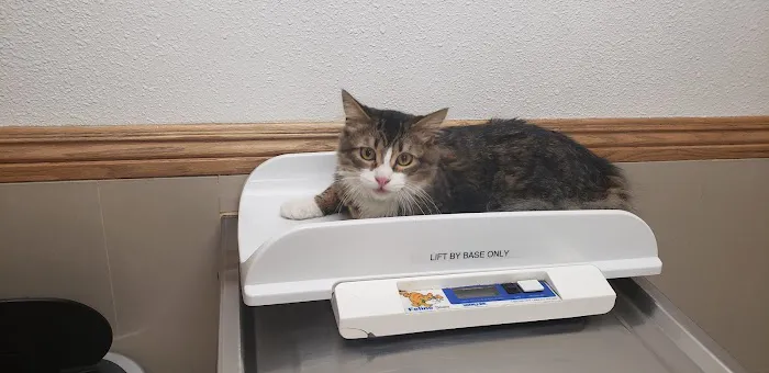 The Animal Doctors of Anaheim (Formerly La Palma Veterinary Hospital) Picture 8