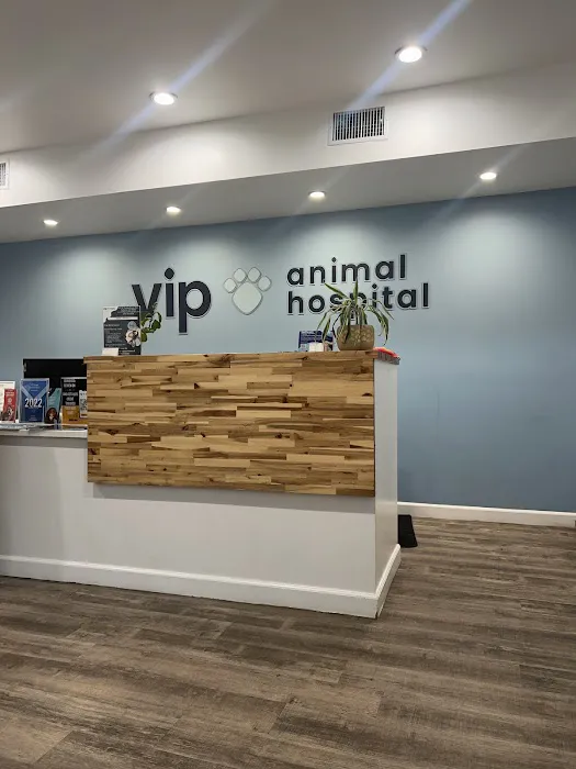 VIP Animal Hospital Picture 3