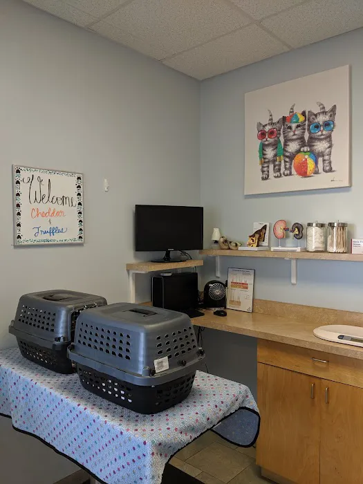University Veterinary Center Picture 2