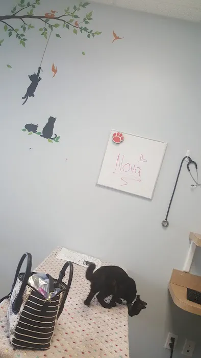 University Veterinary Center Picture 9