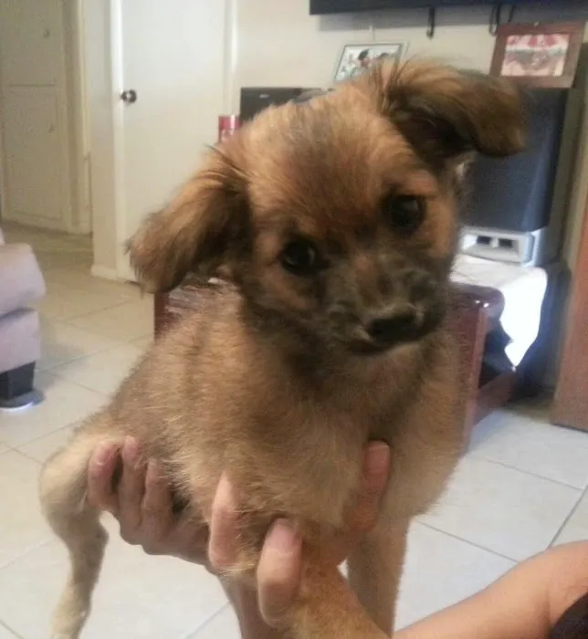 Boulevard Animal Hospital Picture 8