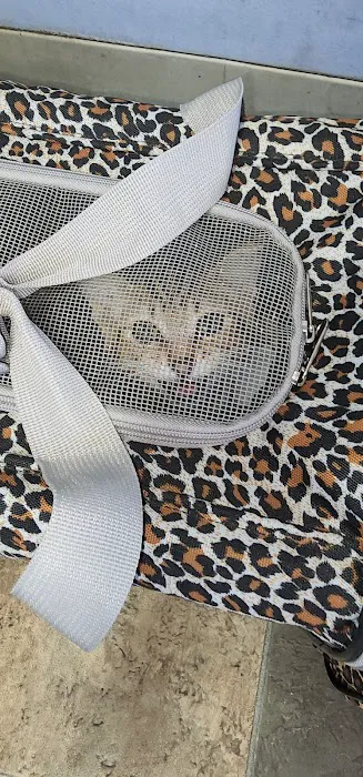 Brookhaven Pet Hospital Picture 1