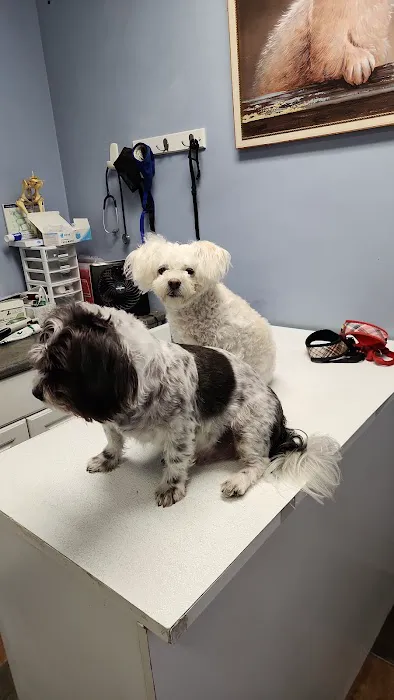 Brookhaven Pet Hospital Picture 7