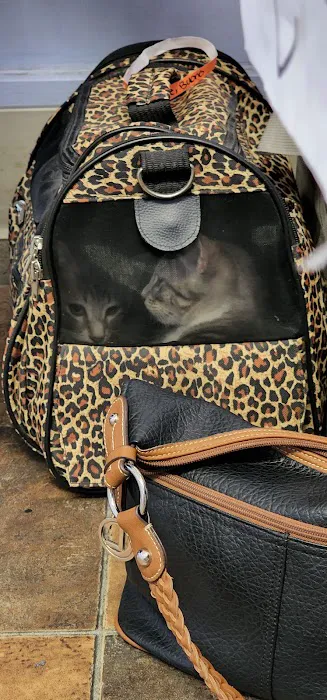 Brookhaven Pet Hospital Picture 4