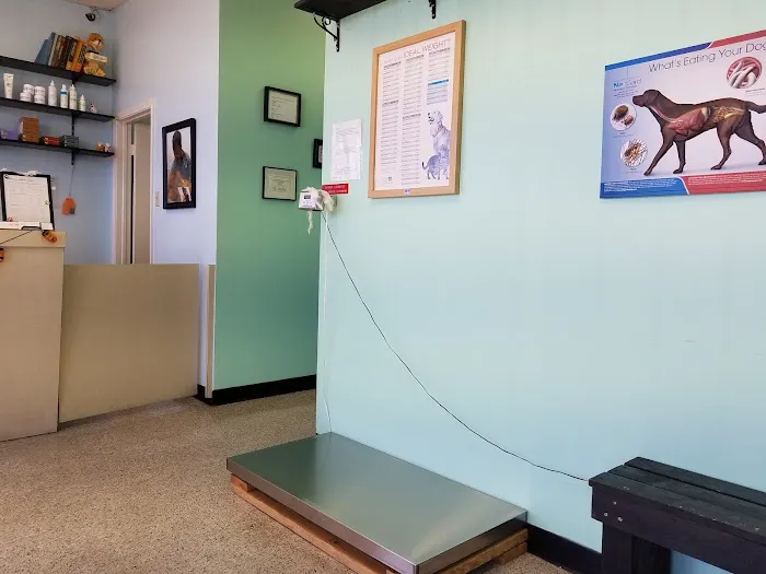 Beechcrest Animal Clinic Picture 10
