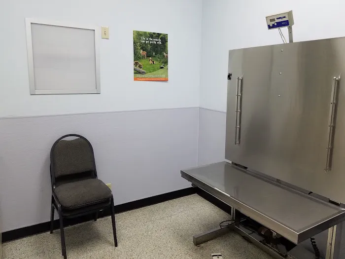 Beechcrest Animal Clinic Picture 9