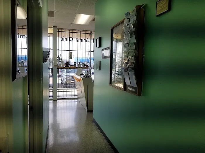 Beechcrest Animal Clinic Picture 6