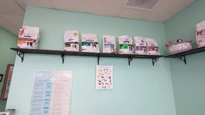 Beechcrest Animal Clinic Picture 4