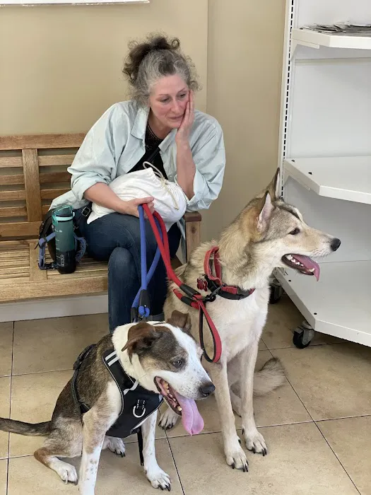 Alief Animal Hospital Picture 9