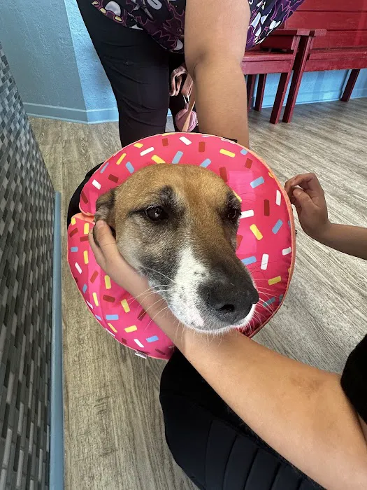 PetWorks Express Picture 6