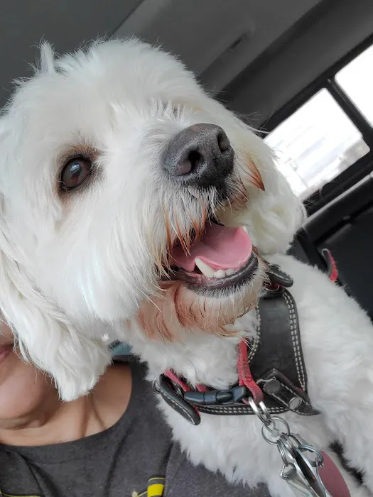 PetWorks Express Picture 1