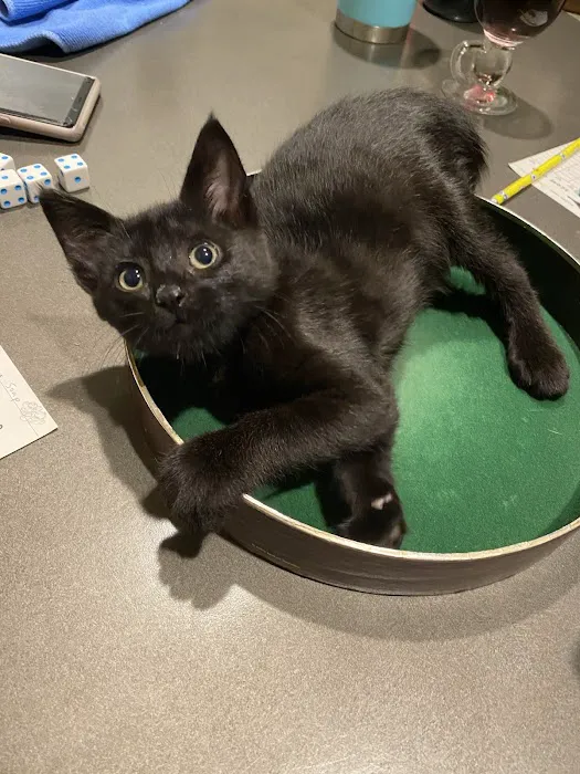 PetWorks Express Picture 10