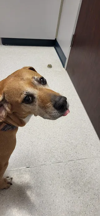 Tanner Lakes Animal Clinic Picture 1