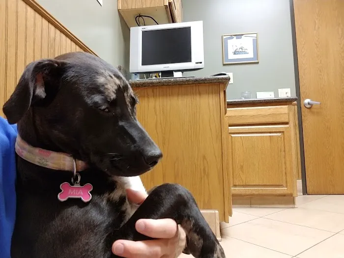 Jersey Village Animal Hospital Picture 8