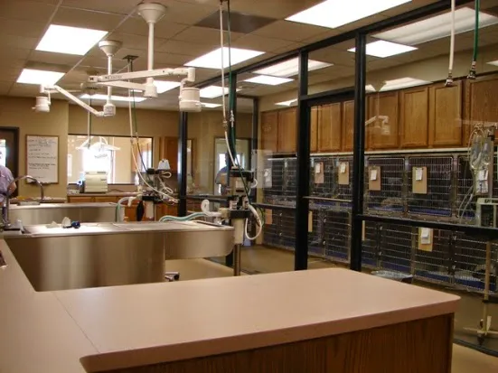 Jersey Village Animal Hospital Picture 9