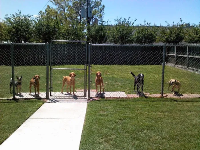 Jersey Village Animal Hospital Picture 7