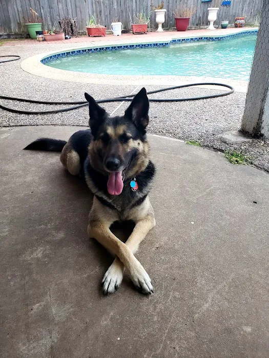 Thrive Pet Healthcare - Eldridge Picture 3