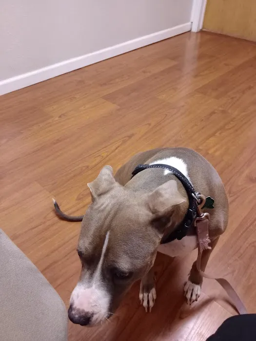 Pet Check-Up Picture 1