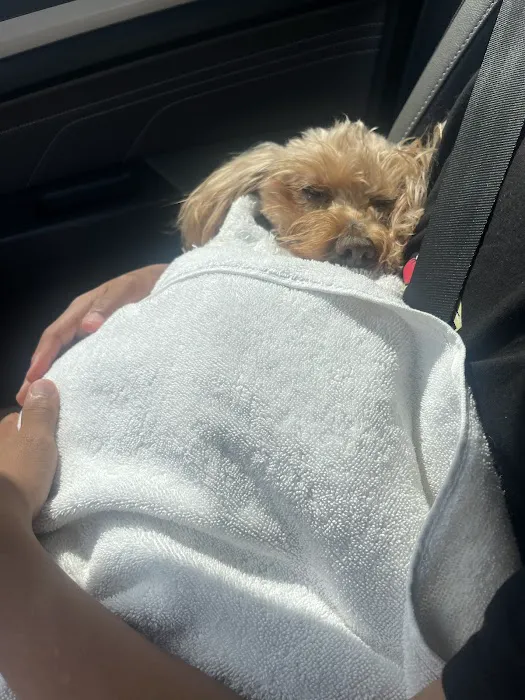 Pet Check-Up Picture 7