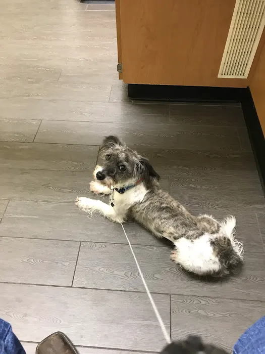 Banfield Pet Hospital Picture 6
