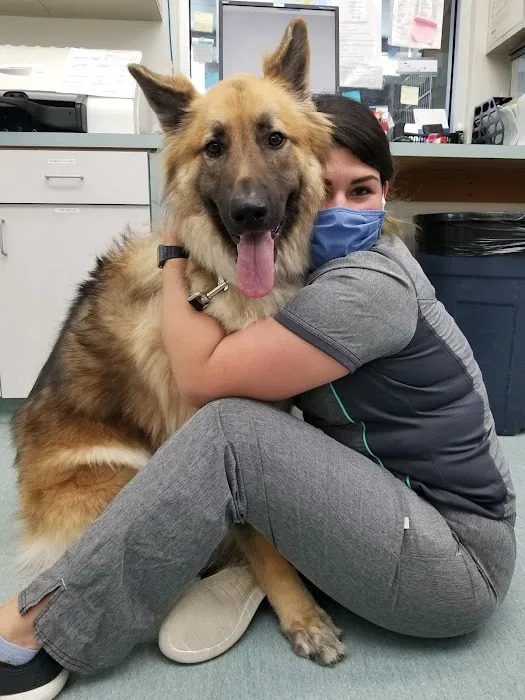 Easton Commons Animal Hospital Picture 9