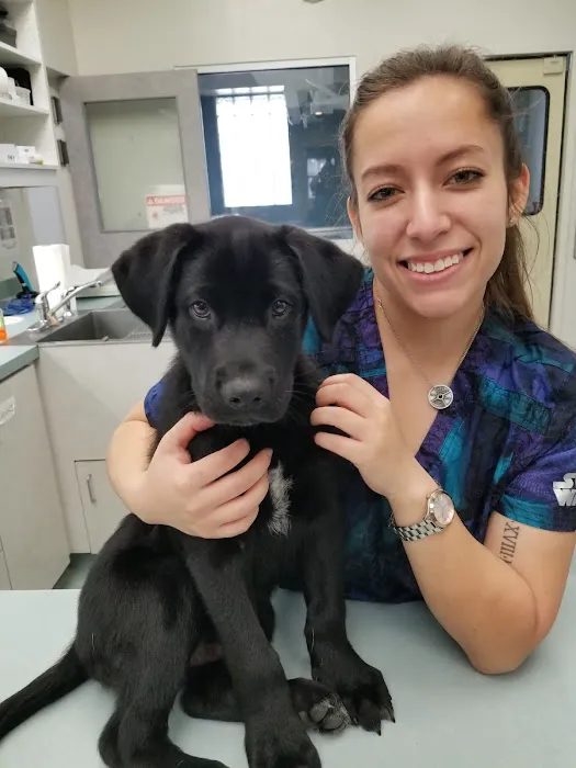Easton Commons Animal Hospital Picture 8